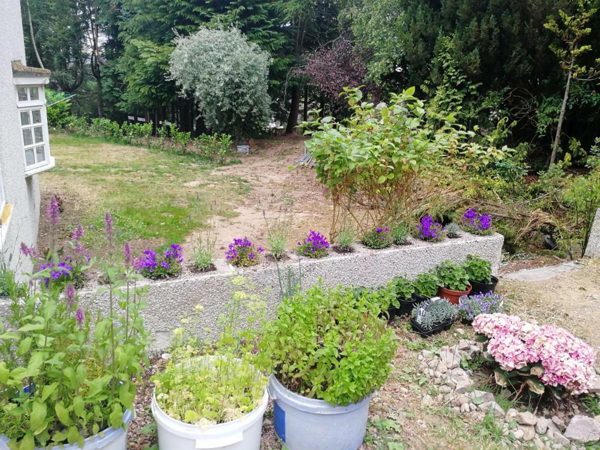 Отель Robinhill Garden Форрес Экстерьер фото